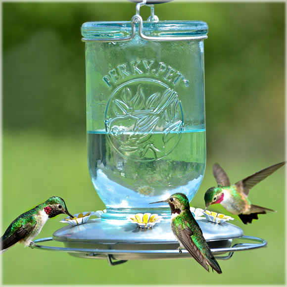 Mason Jar Glass Hummingbird Feeder, 32oz.