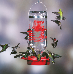 Best-1 Hummingbird Feeder, 32 oz.
