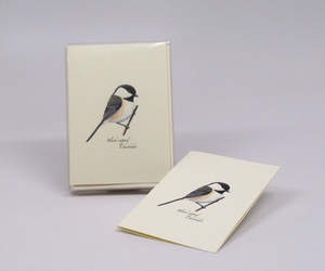 Black-capped Chickadee Notecards