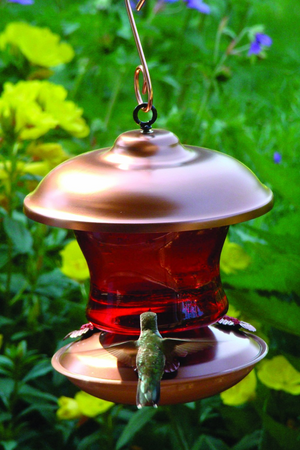 Brushed Copper Ruby Glass Hummingbird Feeder