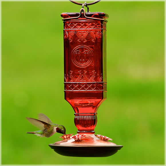 Red Antique Square Bottle Glass Hummingbird Feeder, 24oz.