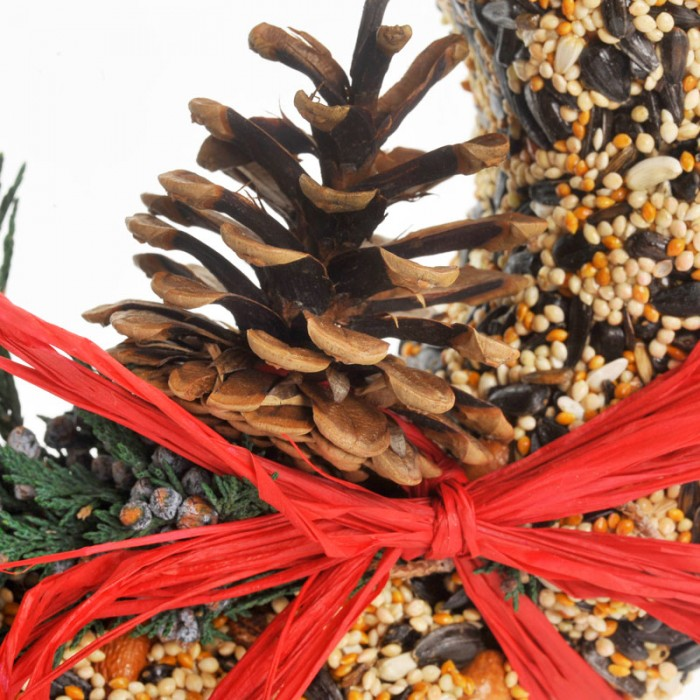WildFeast Holiday Seed Wreath (Store Pickup Only)