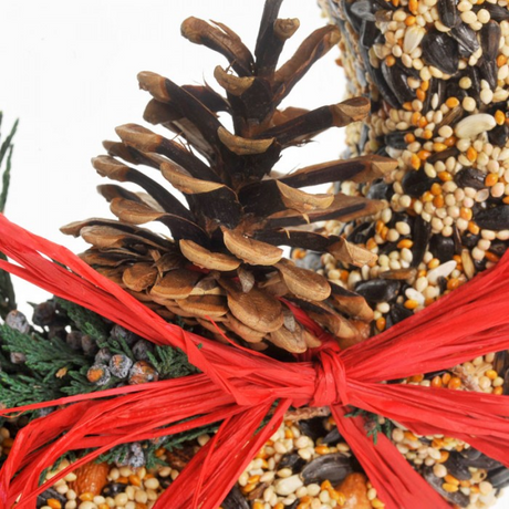 WildFeast Holiday Seed Wreath (Store Pickup Only)