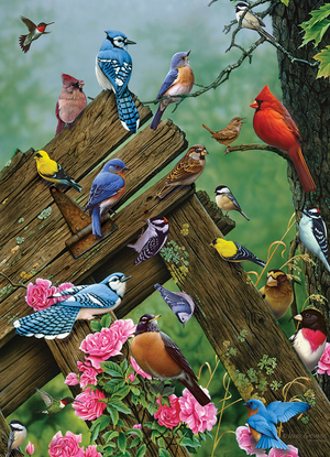 Birds of the Forest, 1000pc Jigsaw Puzzle